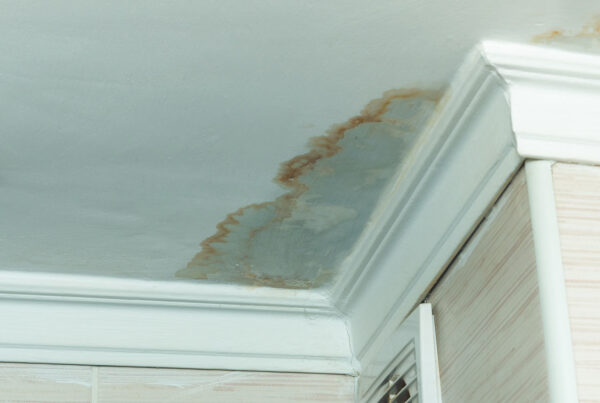Masterfix Case Study - Escape of Water